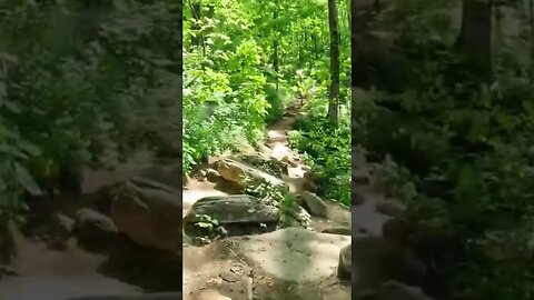 Heading down the trail on Yonah Mountain in north Georgia!