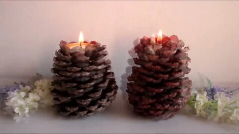 DIY - Pine Cone Ideas