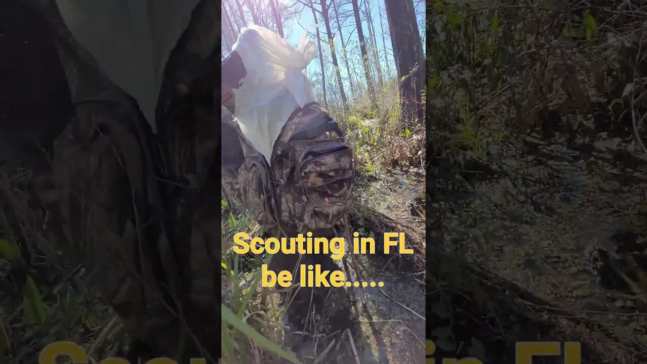Scouting FL WMA...still got our feet wet.