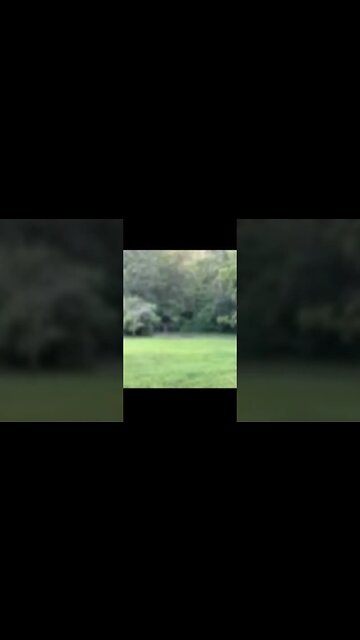 Summer Wells Tree Swing Area | Landscape & Terrain Of The Tennessee Missing Girl Active Case