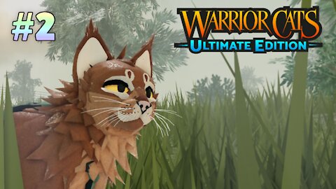 Warrior Cats: Ultimate Edition Roblox Gameplay #2 - visiting clans camps