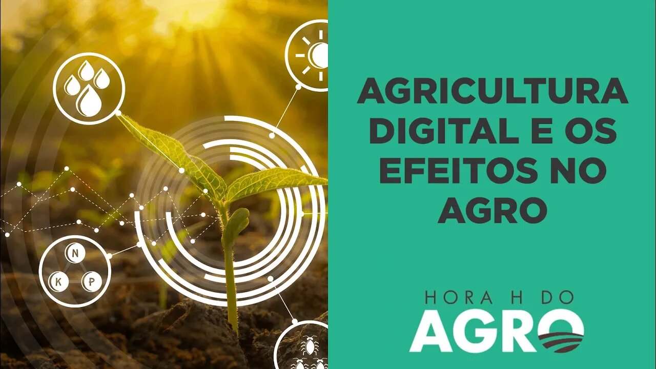 Agro 4.0: macrotendências que devem impactar o setor no futuro | HORA H DO AGRO