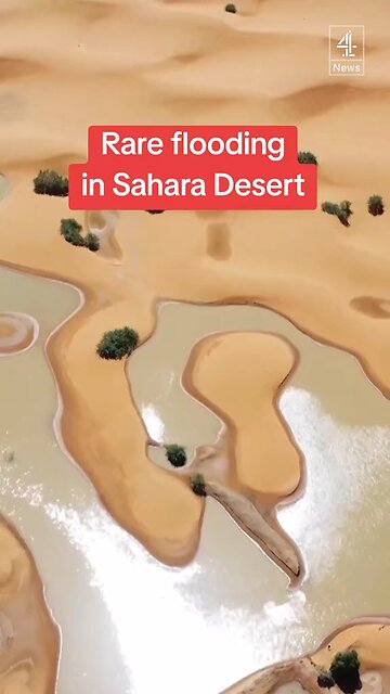 Rare Flooding In The Sahara Desert