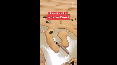 Rare Flooding In The Sahara Desert