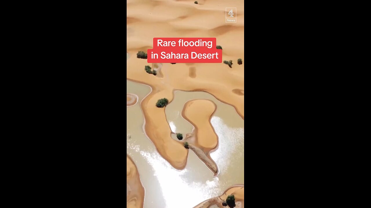 Rare Flooding In The Sahara Desert
