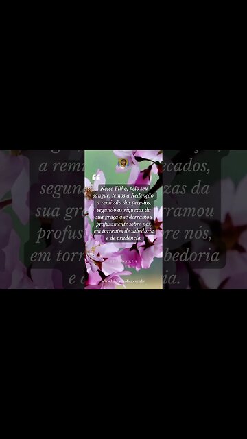 Efésios 1,7-8 - Nesse Filho, pelo seu sangue, temos a Redenção, a remissão dos pecados, segundo a...