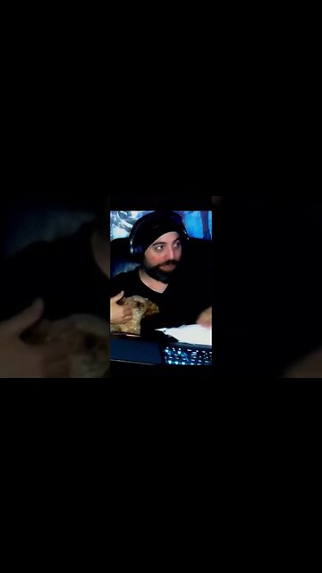 Calming Angry Puppies 101