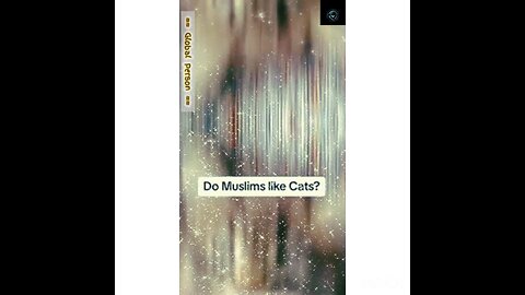 Do Muslims like Cats?