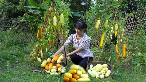 Harvesting Cucumbers and How to Store Cucumbers Make a perch for the tubers