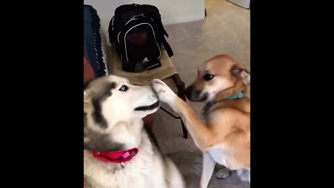 A kiss then a slap