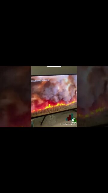WTF IS GOING ON WITH CANADIAN WILDFIRES??????