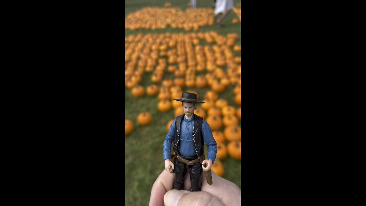 Pumpkin Patch Time!