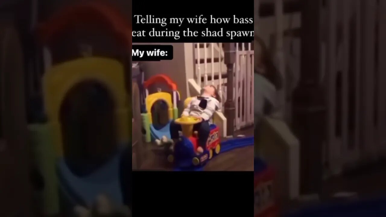 Trying to explain the SHAD Spawn to my WIFE ! #kayak #funny #bassfishing #bassangler #fishing