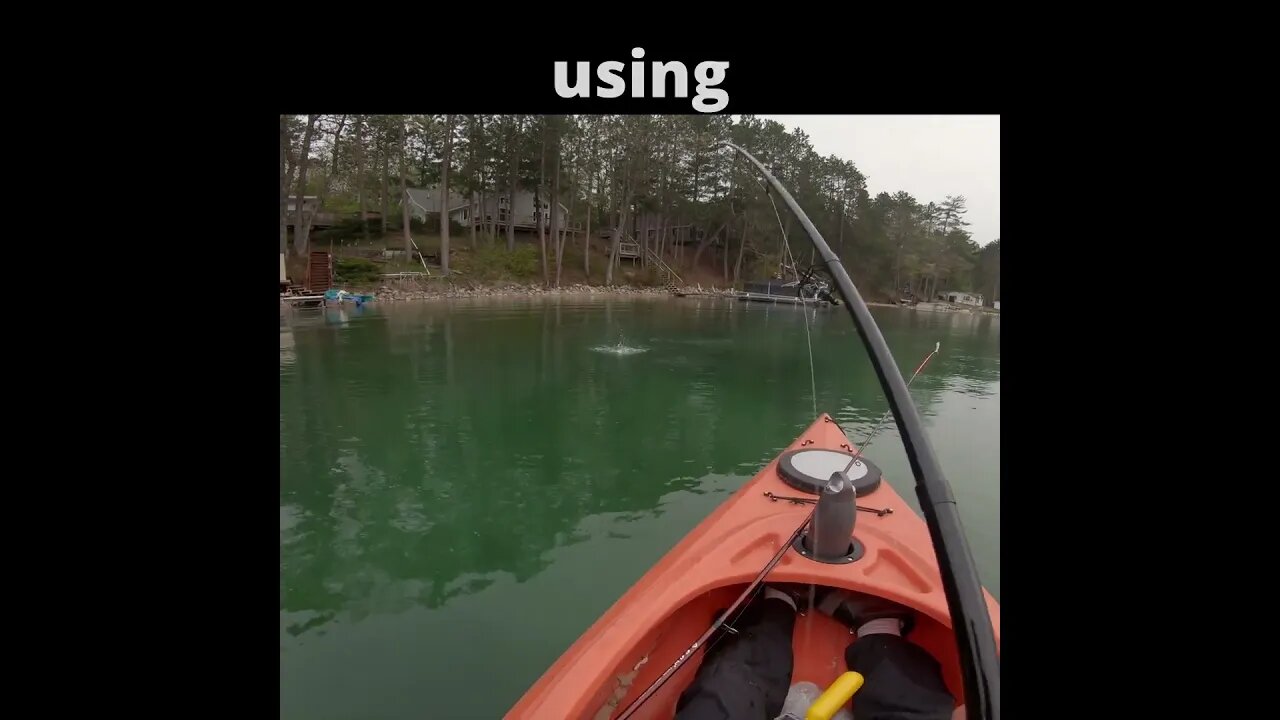 Rainbow trout from a kayak?