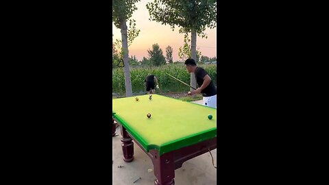 funny videos pool 🤣🤣👍👏🤣🤣🤣