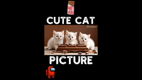 Cute Cat Picture