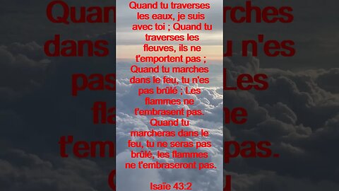 Verset Du Jour | Lecture Inspirante Pour Commencer La Journée. | 81