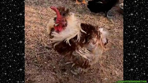 RIP Maverick