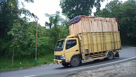 Truk Muatan Kayu Palet Melintas Di Tikungan Tajam