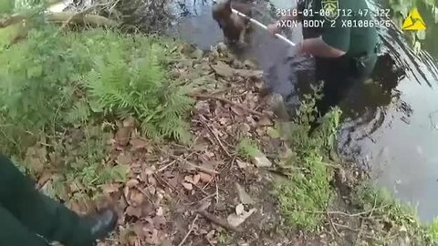 Broward County deputies unknowingly rescue dog belonging to fellow deputy