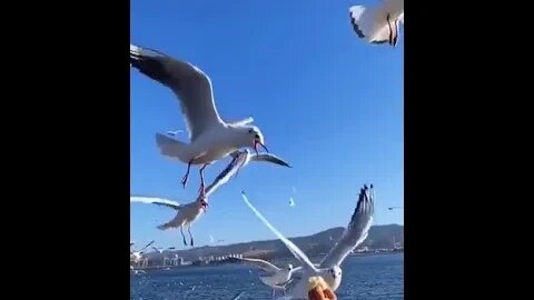 I'll have some of that