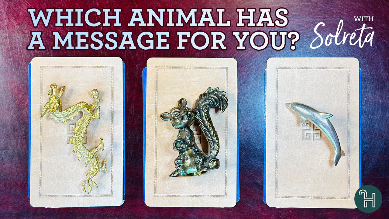 Which animal has a message for you? 🔮 PICK-A-CARD MONDAYS