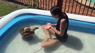 Modelo australiana brinca com os seus ratos na piscina