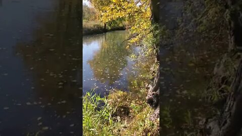 here's a beautiful view