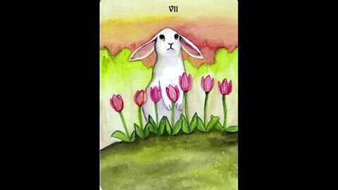 rabbit tarot
