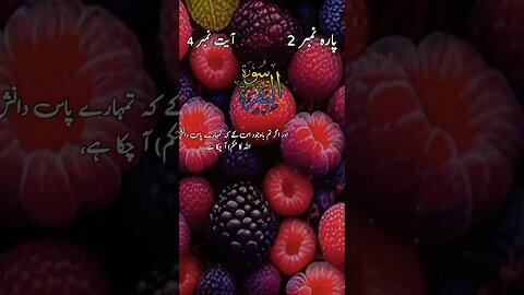 Al-Quran kareem | Urdu Quran translation #shorts #ytshorts#islamic#status#whatsappstatus