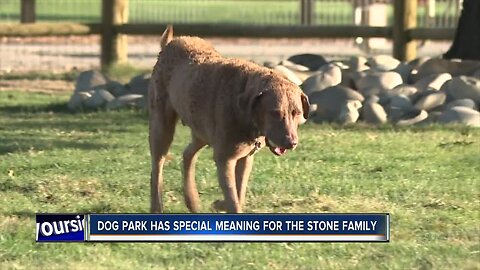 Together Treasure Valley Dog Park popularity