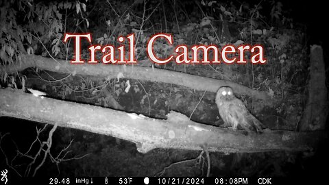 Trail Camera Adventure 13