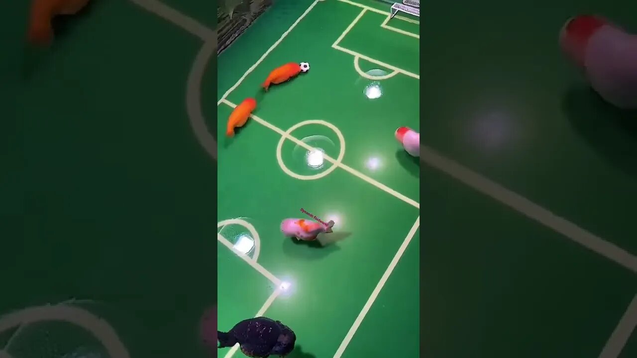 Fishes playing soccer ⚽️ #shorts #viral #fyp