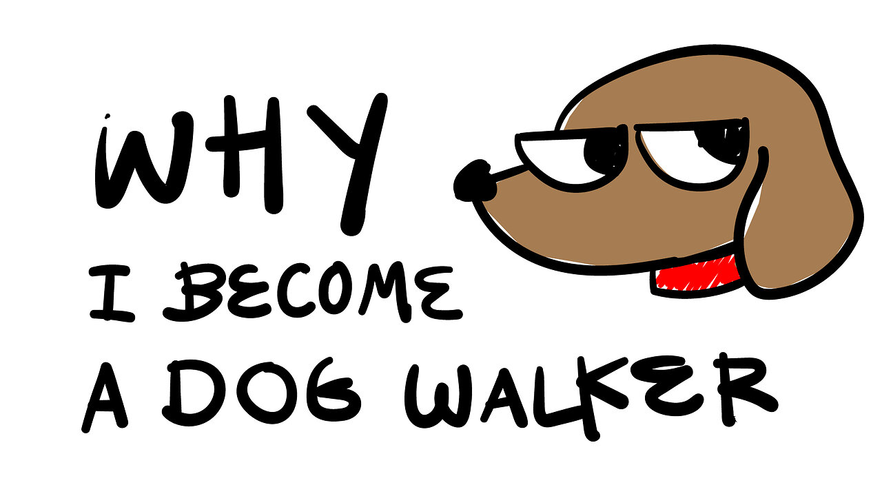 Why I Become a Dog Walker