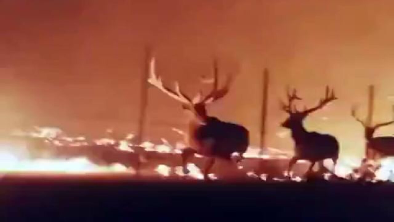 You Won't Believe This ... Half of Wyoming is Now Burning; Bighorn National Forest