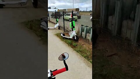 Scooter carnage