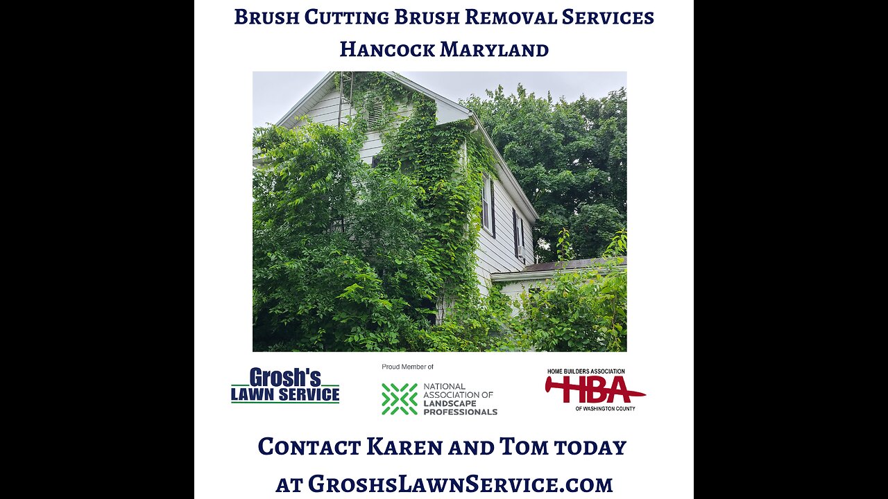 Brush Cutting Hancock Maryland Landscape Company