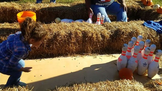 Pumkin Bowling Is Hard