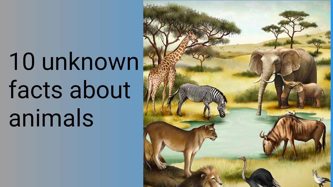 Unknown facts about animals