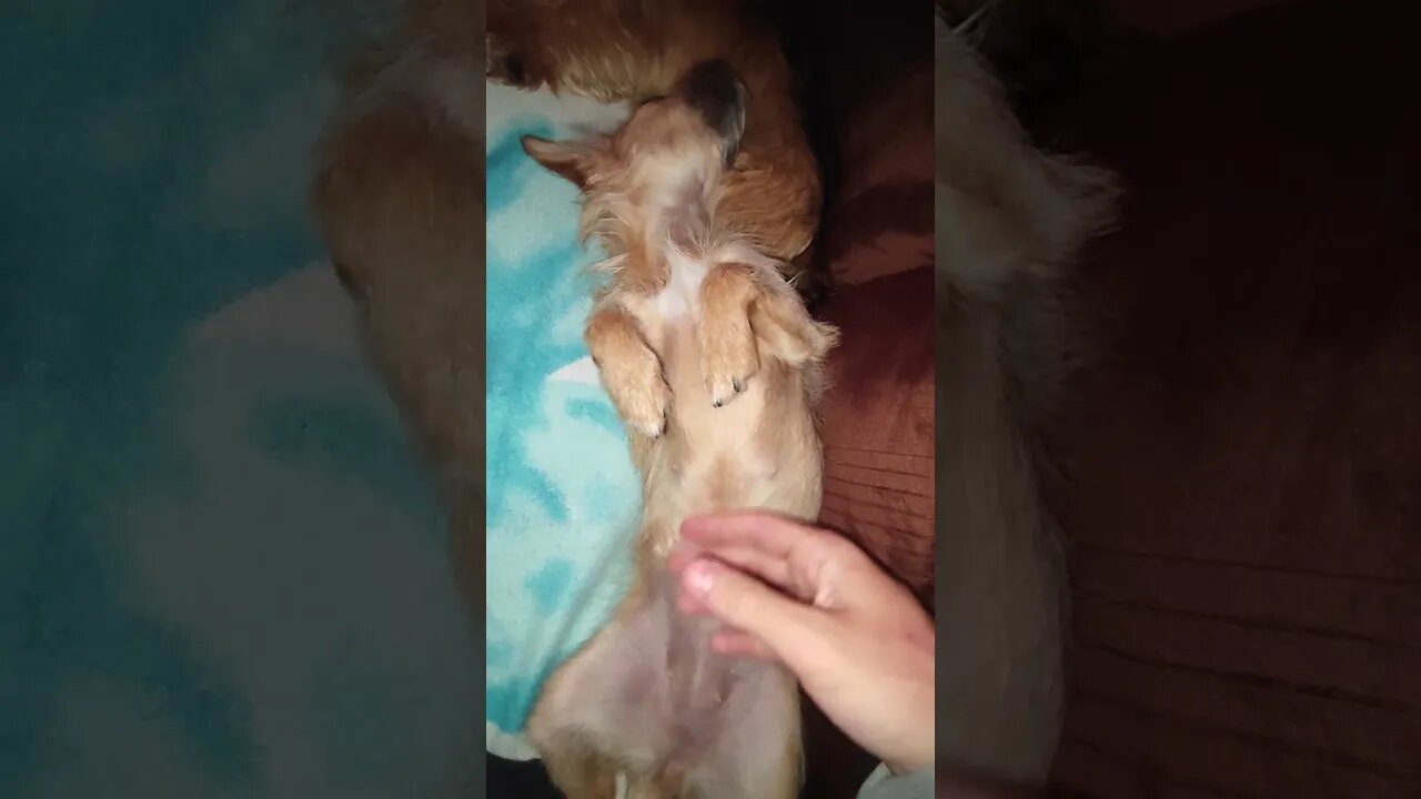 Relaxing Tummy Rub