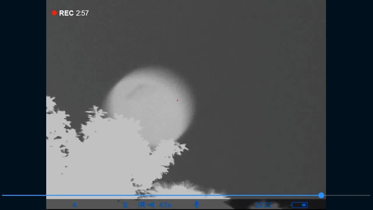 Orb Comes Behind Tree. Scale is about 23 inches