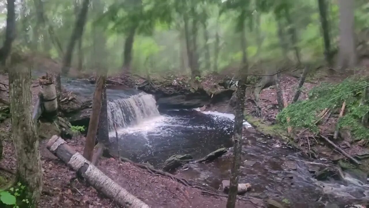 Schribner Brook Falls