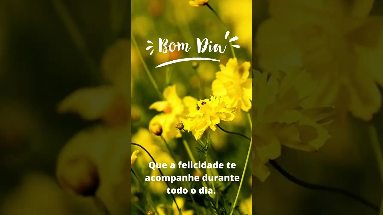 Que a felicidade te acompanhe durante todo o dia Bom dia!