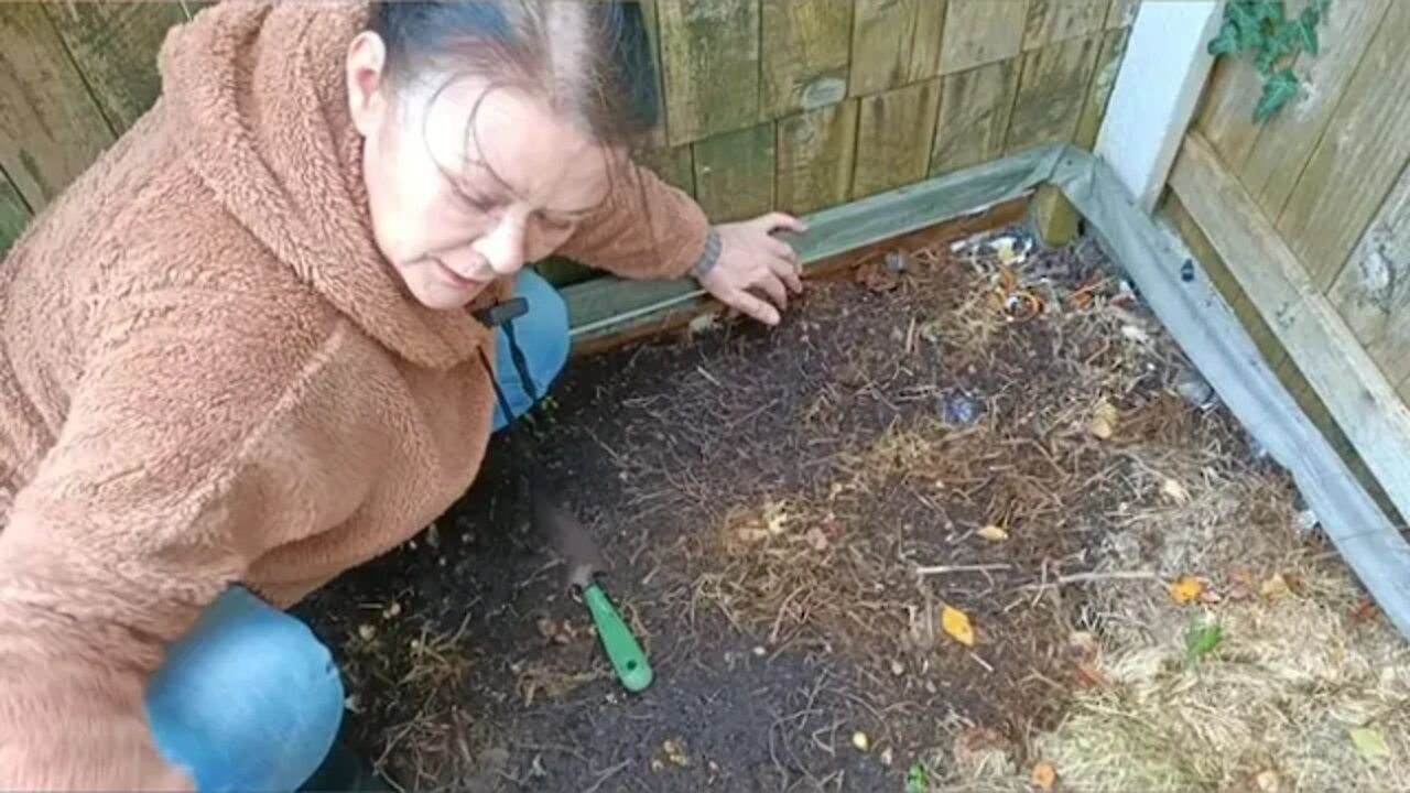 Last Potato Harvest Of 2022. Beds 3 & 4 🥔🥔🥔