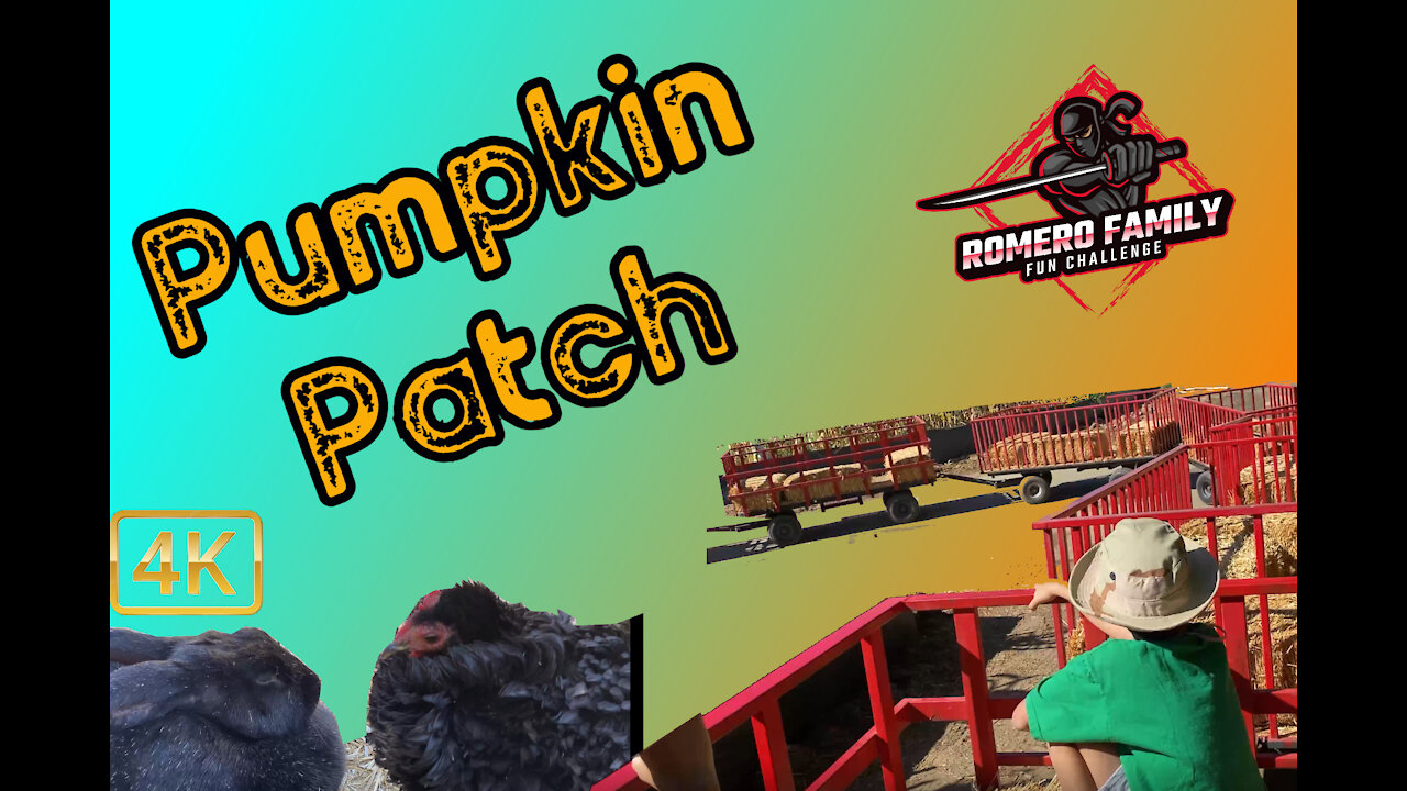 Pumpkin Patch | Pony Rides | Petting Zoo | Hay Ride | 4K