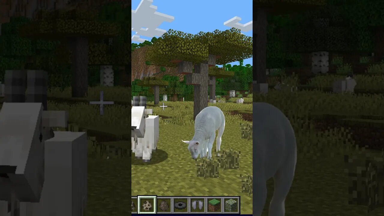 Realistic Sheep in MineCraft 🐐 #YoSquad #minecraft #майнкрафт #shorts