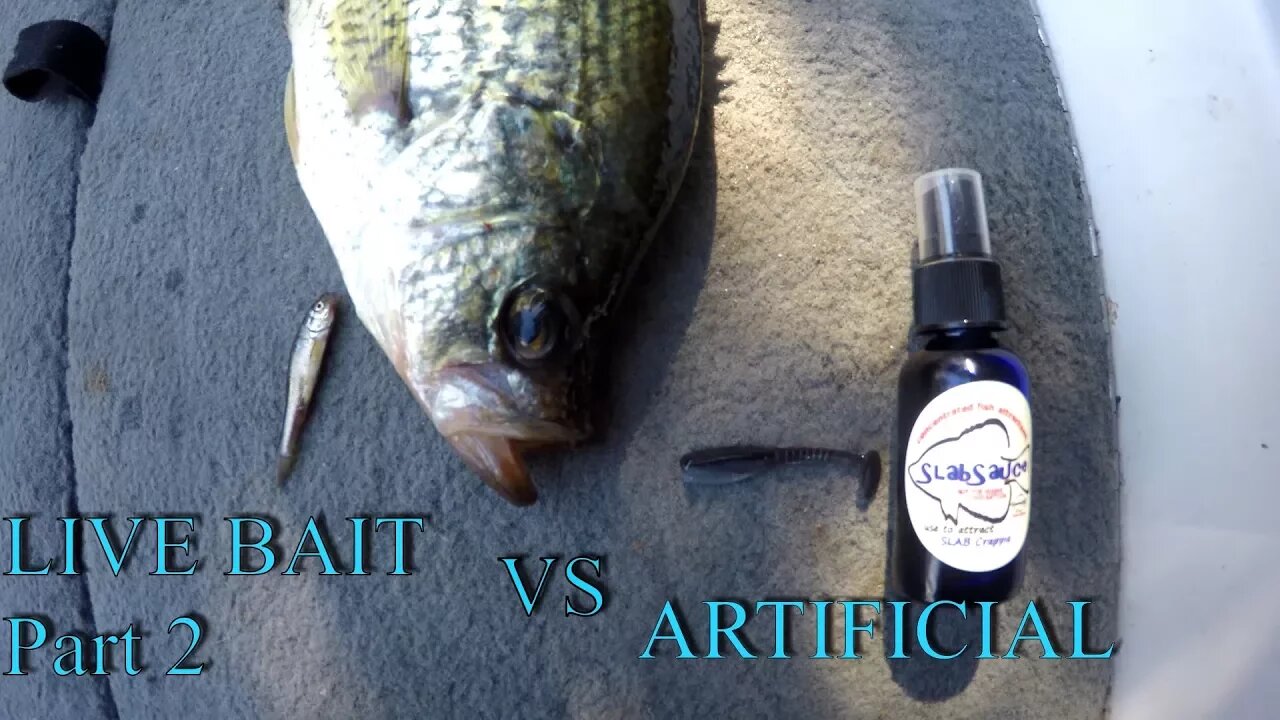 Live Minnows VS Artificial Crappie Fishing Challenge (part 2)