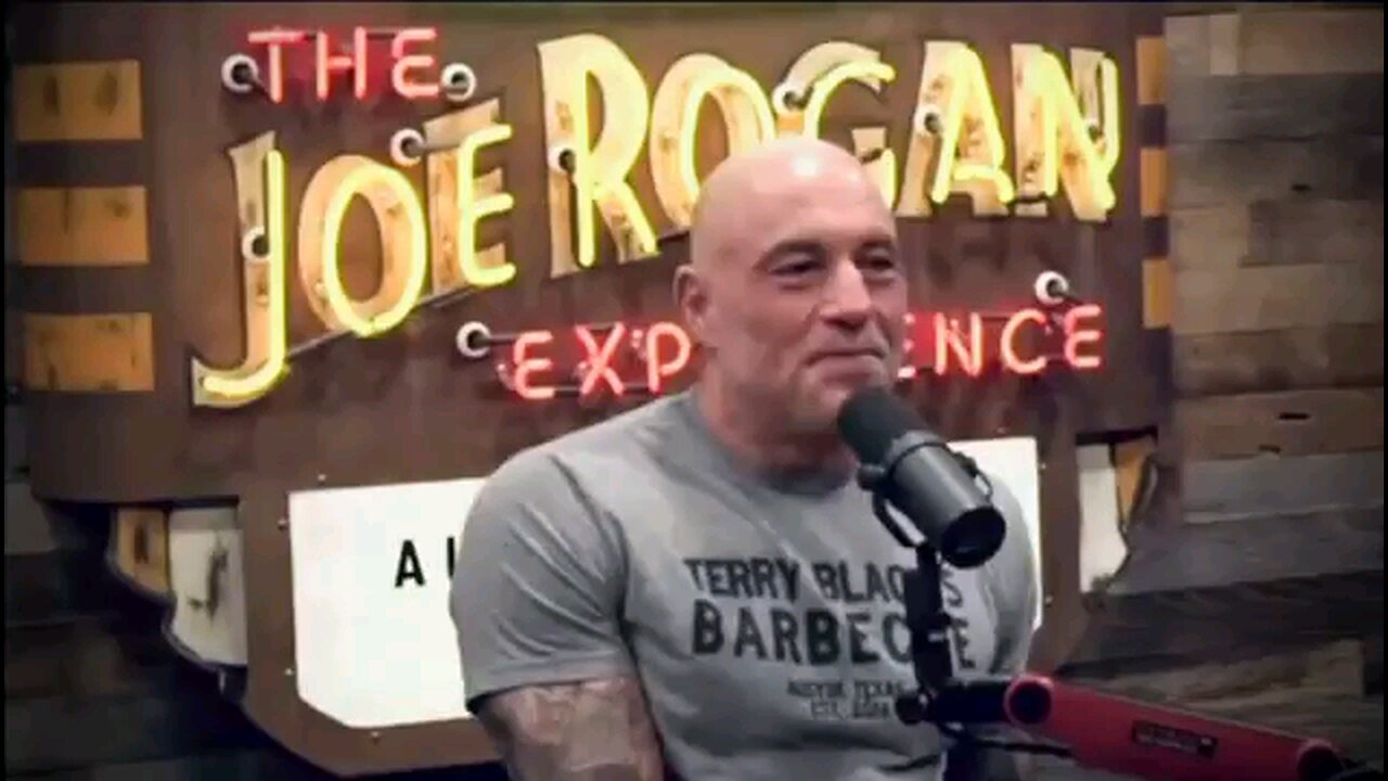 ROGAN ON ELON: HE MAY SAVED HUMANITY BY TAKING OVER X Schulz: