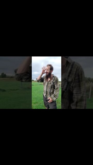 #wouldyoulikefrieswiththat #ohhighbud #strangedanimal