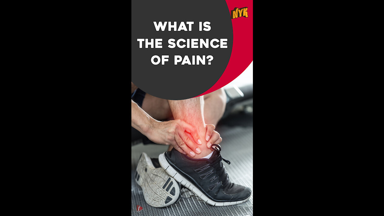 Why Do We Feel Pain *